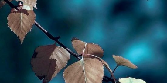 Imagem do grupo de WhatsApp Amizade é zueira