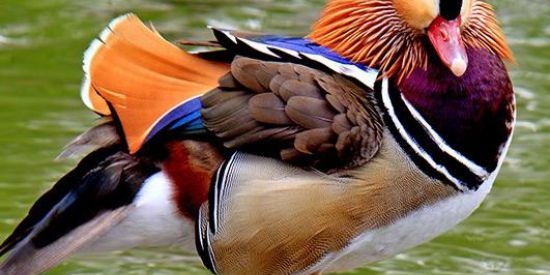 Imagem do grupo de WhatsApp S.H.I.T.SUPERAÇÃO"4"🥳🥳