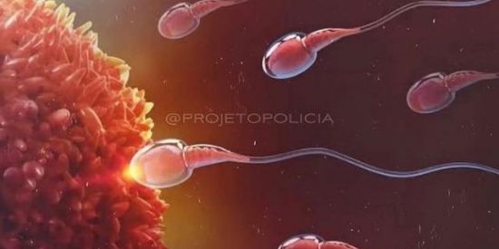 Imagem do grupo de WhatsApp Solteiros e solteiras