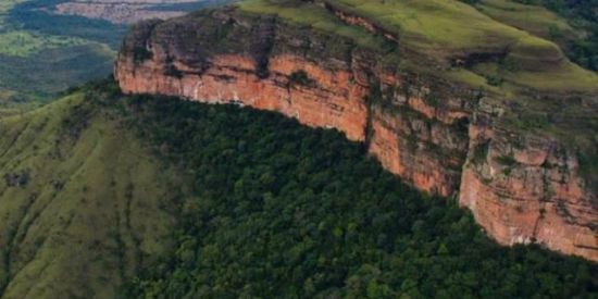 Imagem do grupo de WhatsApp Agro e top...🌿