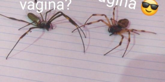 Imagem do grupo de WhatsApp No mercy