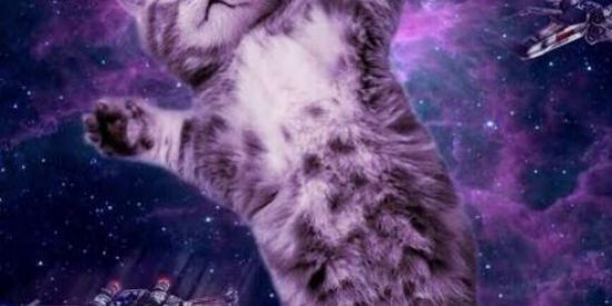 Imagem do grupo de WhatsApp 🔥⃤SHITPOST✨⃤