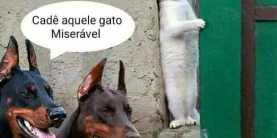 Imagem do grupo de WhatsApp Vamos ri