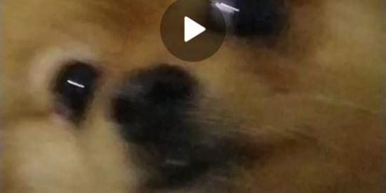 Imagem do grupo de WhatsApp ♥♪Apaixonadinhos♪♥