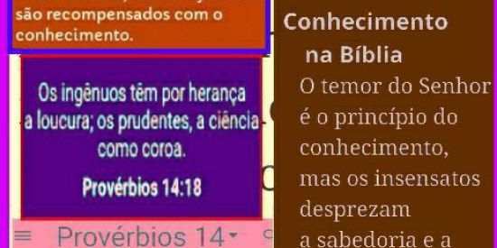 Imagem do grupo de WhatsApp Prov.14,18-
