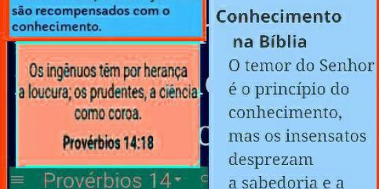 Imagem do grupo de WhatsApp Prov.14,18-II