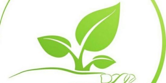 Imagem do grupo de WhatsApp GESTÃO AMBIENTAL 🌱