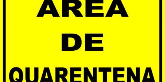 Imagem do grupo de WhatsApp 😜 QUARENTENA😜