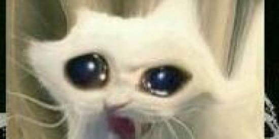 Imagem do grupo de WhatsApp Grupo de figurinhas