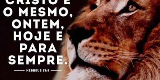 Imagem do grupo de WhatsApp O REI ESTA VOLTANDO🦁🎺