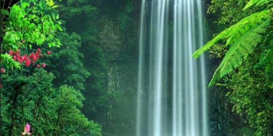 Imagem do grupo de WhatsApp GRUPO EVANGÉLICO