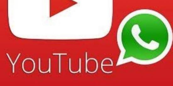 Imagem do grupo de WhatsApp Grupo de divulgação do yt