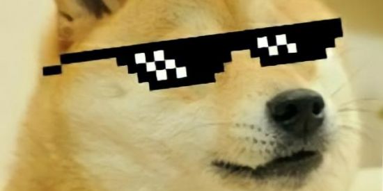 Imagem do grupo de WhatsApp UM ZOEIRA NO PEDAÇO