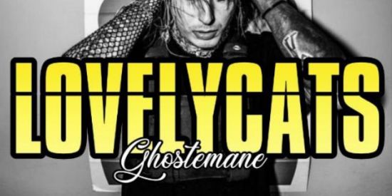 Imagem do grupo de WhatsApp MEGA OFC