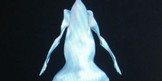 Imagem do grupo de WhatsApp Tadinhos são dementes 😞♿