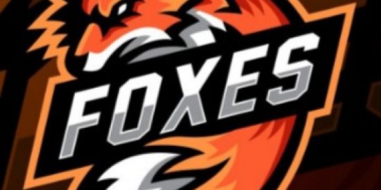 Imagem do grupo de WhatsApp golden foxes