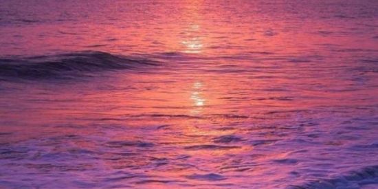 Imagem do grupo de WhatsApp Novas amizadess