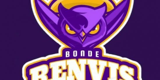 Imagem do grupo de WhatsApp Triagem  ♔5Br's♔