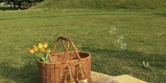 Imagem do grupo de WhatsApp ࣪🌾 ִbonjour instagram ꏏ