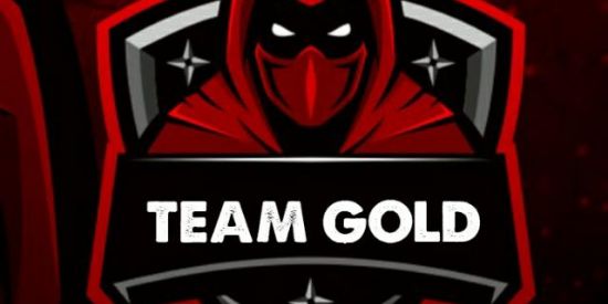 Imagem do grupo de WhatsApp 🕹️GUILDA - TEᗩᗰ GOᒪᗪ⚜️