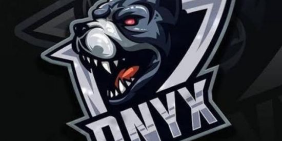 Imagem do grupo de WhatsApp PENEIRA  ONYX