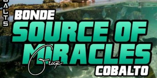 Imagem do grupo de WhatsApp 🤑ENGAJAMENTOS COBALTO🤑