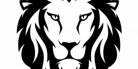 Imagem do grupo de WhatsApp Mutirão Lions Crescer +