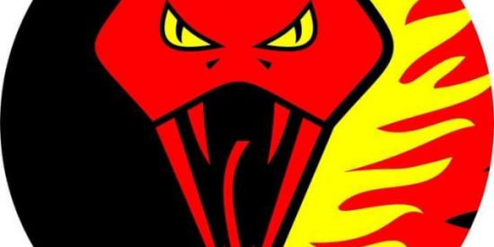 Imagem do grupo de WhatsApp Boitatá Estamparia