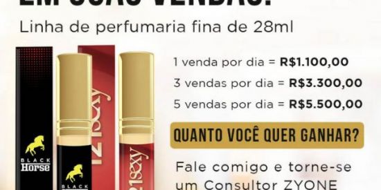 Imagem do grupo de WhatsApp GANHOS A PARTIR DECASA G1