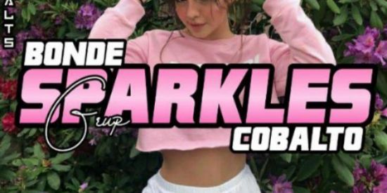 Imagem do grupo de WhatsApp 𝙂𝙖𝙣𝙝𝙖𝙧 𝙨𝙚𝙜𝙪𝙞𝙙𝙤𝙧𝙚𝙨🌻🦊