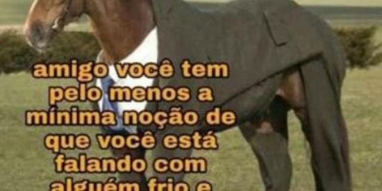 Imagem do grupo de WhatsApp Grupo qm ler e gai👺👺🤡🤡