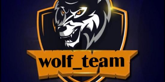 Imagem do grupo de WhatsApp Wolf_team