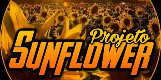 Imagem do grupo de WhatsApp Projeto sunflower
