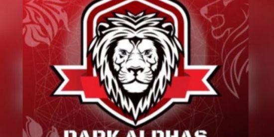 Imagem do grupo de WhatsApp RECRUTAMENTO DARK ALPHAS🍃