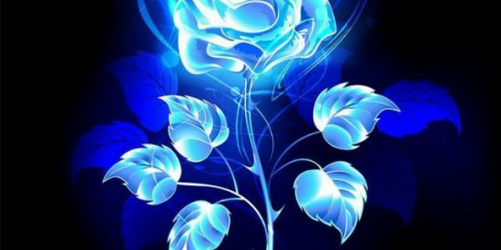 Imagem do grupo de WhatsApp Super grau