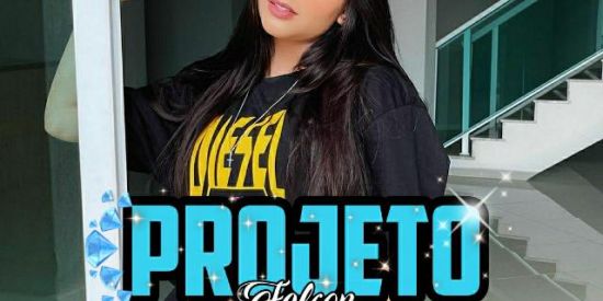 Imagem do grupo de WhatsApp 01 💙|ғᴀʟᴄᴏɴ|💙