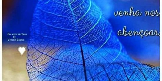 Imagem do grupo de WhatsApp DIVULGAÇÃO BRASIL