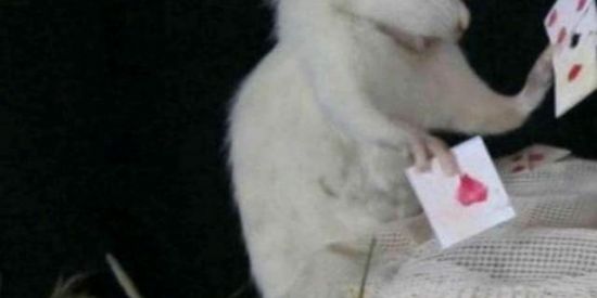 Imagem do grupo de WhatsApp Qual é rapaziada