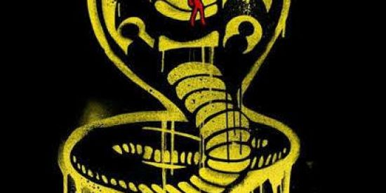 Imagem do grupo de WhatsApp 🔥COBRA  KAI  OFC🔥