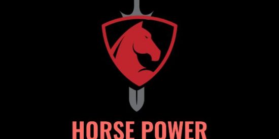 Imagem do grupo de WhatsApp HORSE POWER 🐴