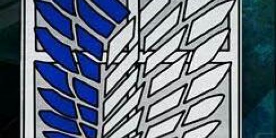 Imagem do grupo de WhatsApp 🔰Tropa de esploracão🔰