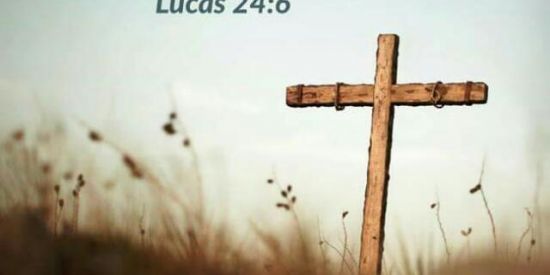 Imagem do grupo de WhatsApp A Paz de Cristo 🙏