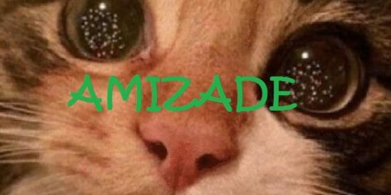 Imagem do grupo de WhatsApp aleatórios ☺