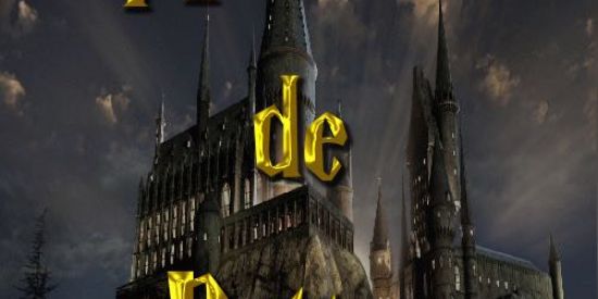 Imagem do grupo de WhatsApp ⚡Armada de Potter⚡