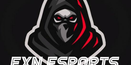 Imagem do grupo de WhatsApp RECRUTAMENTO EXN ESPØRTS