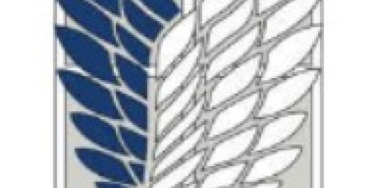 Imagem do grupo de WhatsApp divisão de reconhecimento