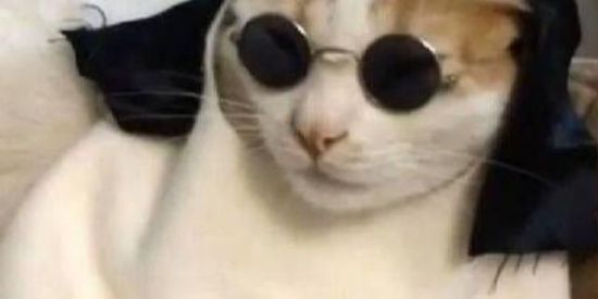 Imagem do grupo de WhatsApp Amizades