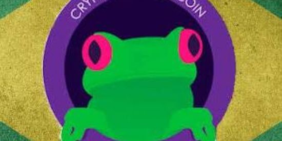 Imagem do grupo de WhatsApp 🐸WiBX CRIPTOMOEDA