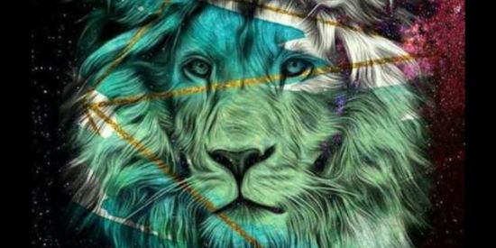 Imagem do grupo de WhatsApp Projeto Leão 🦁