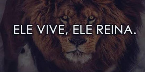 Imagem do grupo de WhatsApp Filhos do Salvador🙏❤️